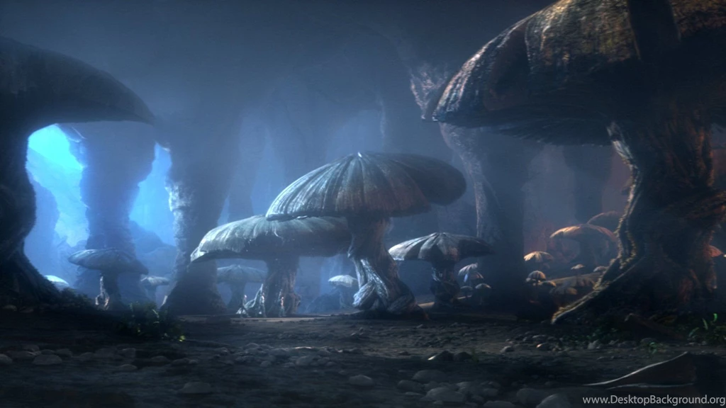 Huge Mushrooms Wallpapers