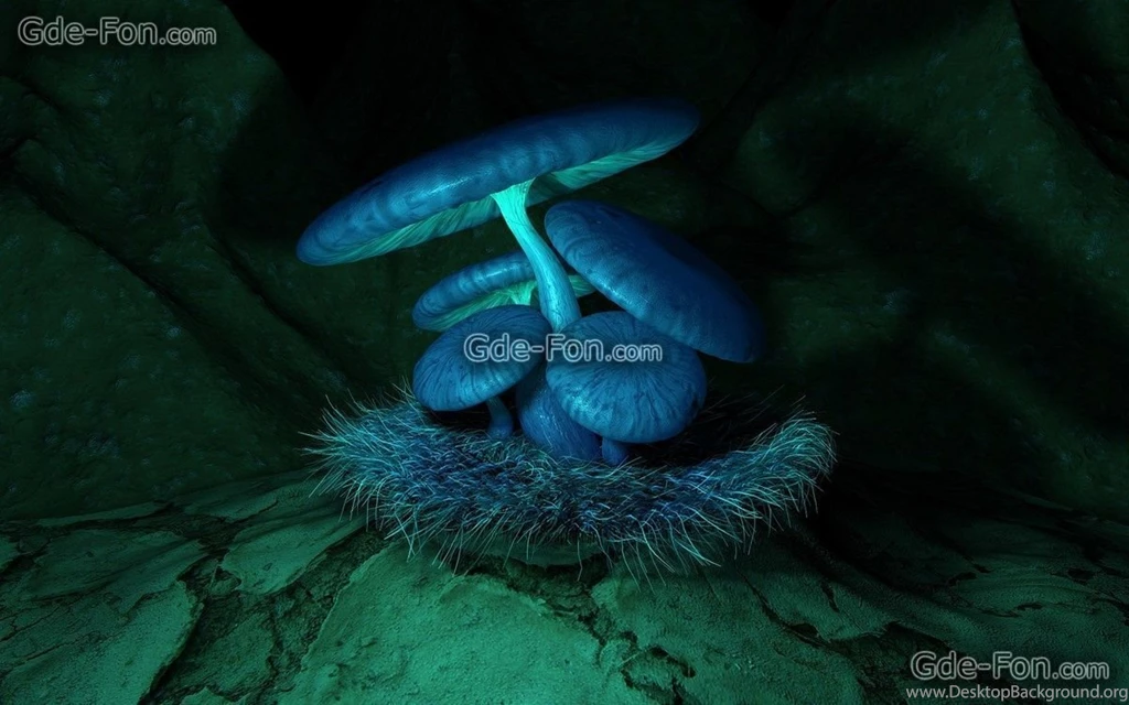 Gallery For   Blue Mushrooms Wallpapers Desktop