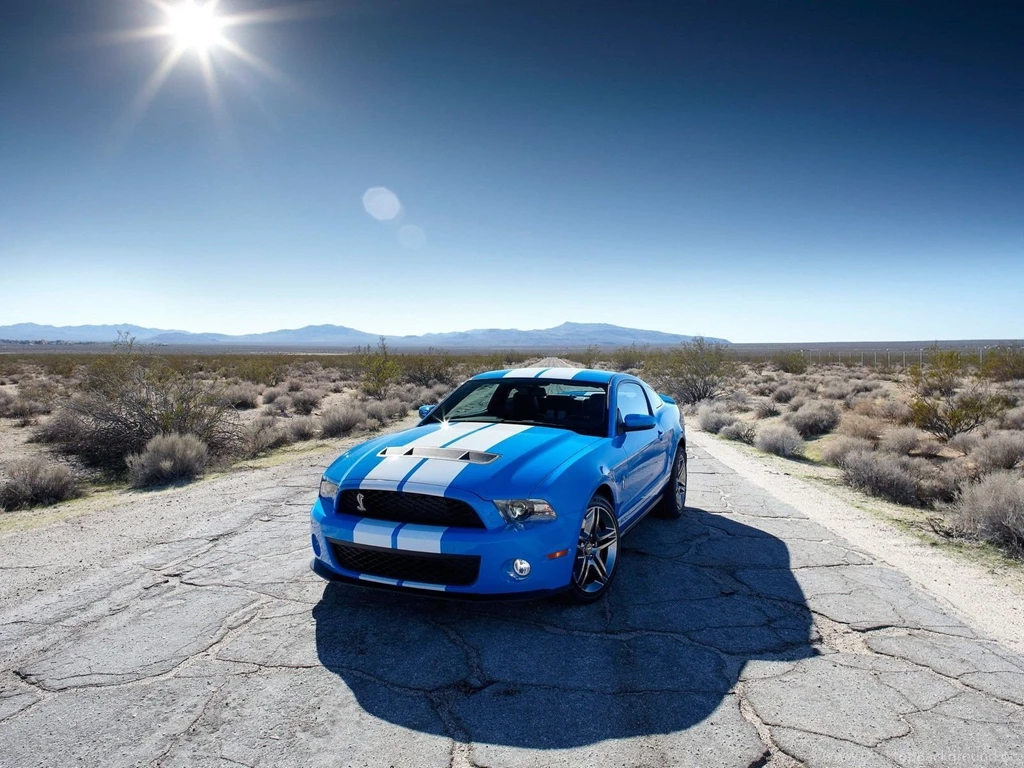 Ford Shelby GT 500 Wallpapers