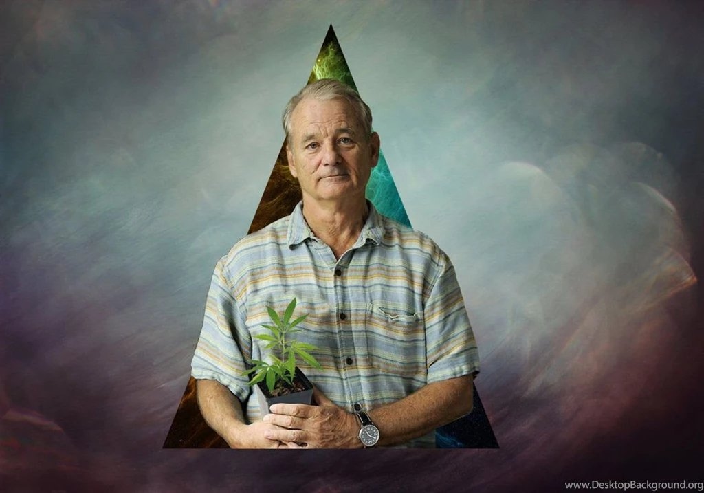 Bill Murray By BrutusThePanda On DeviantArt