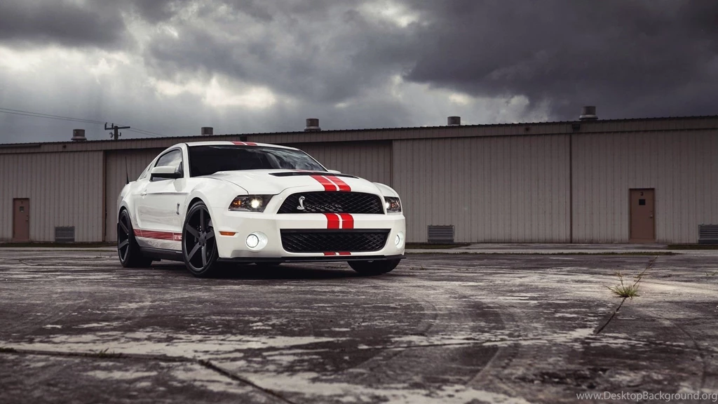 2015 Ford Mustang Shelby GT500 White HD Wallpapers
