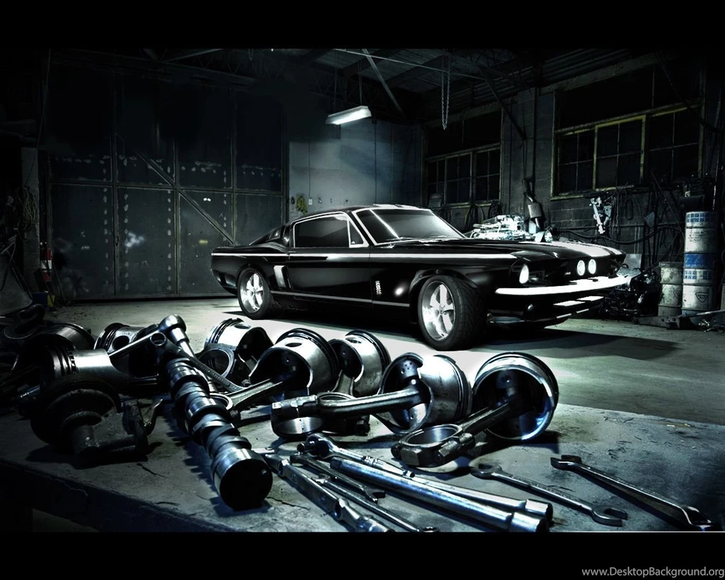 OQuinn's Blog: 2011 Ford Mustang Shelby GT500