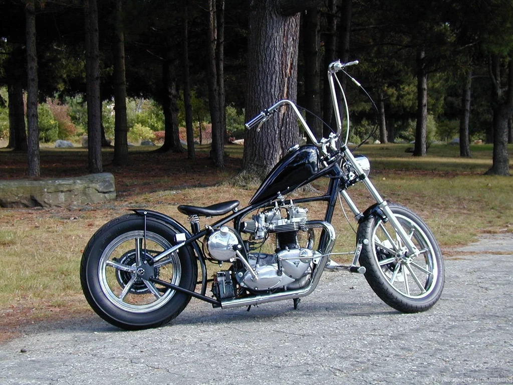 1969 Triumph Bonneville Bobber Image