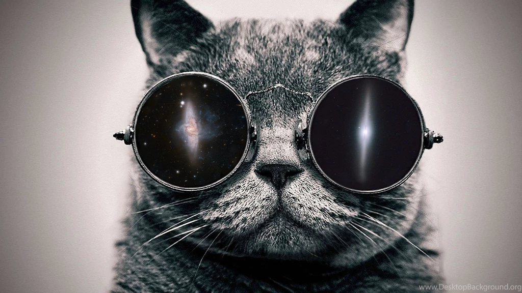 Cat In Space Wallpaper 1920x1080