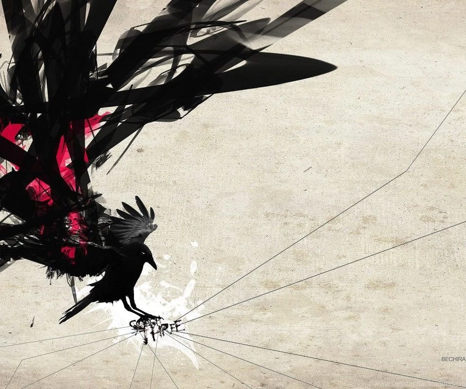 Wallpapers Abstract, Silhouette, Bird, Wings, Lettering, Backgrounds ...