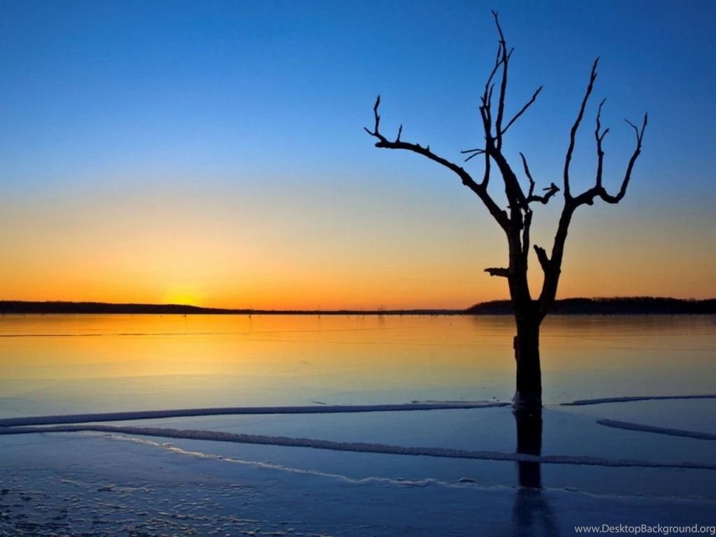 Latest Desktop Wallpapers