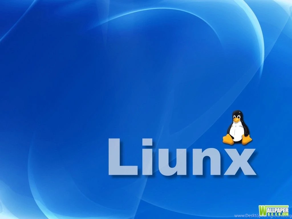 Ws_Linux_1024x768 1.jpg