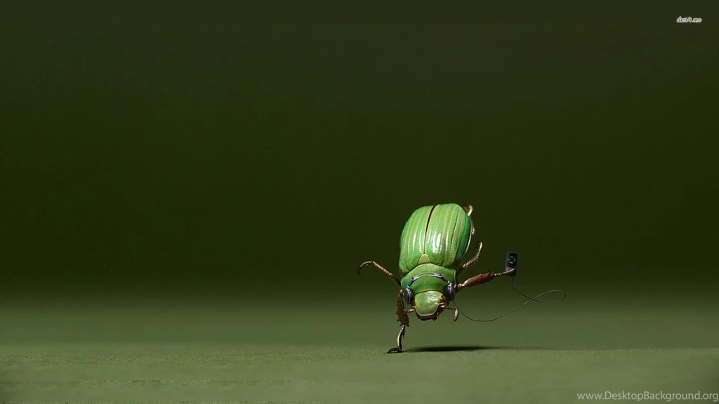 Dancing Insect Wallpapers Funny Wallpapers
