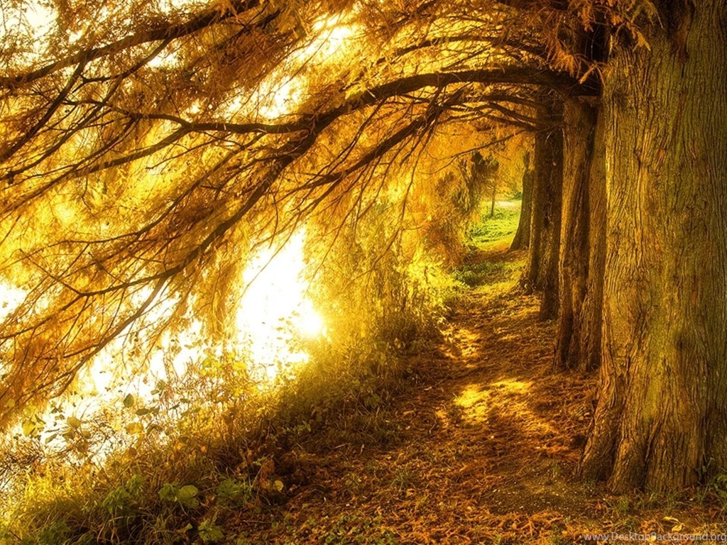 Free Wallpapers Of Warm Autumn Day Always Update