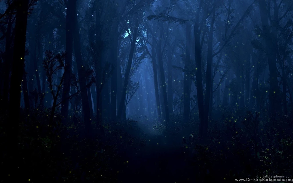 Digital Blasphemy, Night, Forest, Summer, Wallpapers (