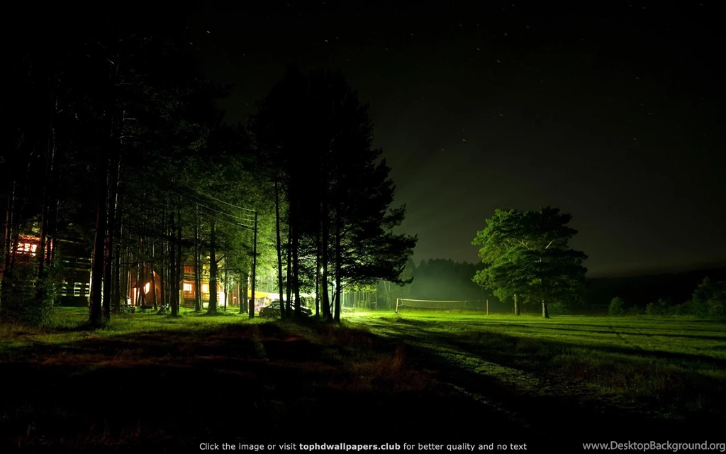 Night Forest 4K Or HD Wallpapers For Your PC, Mac Or Mobile Device