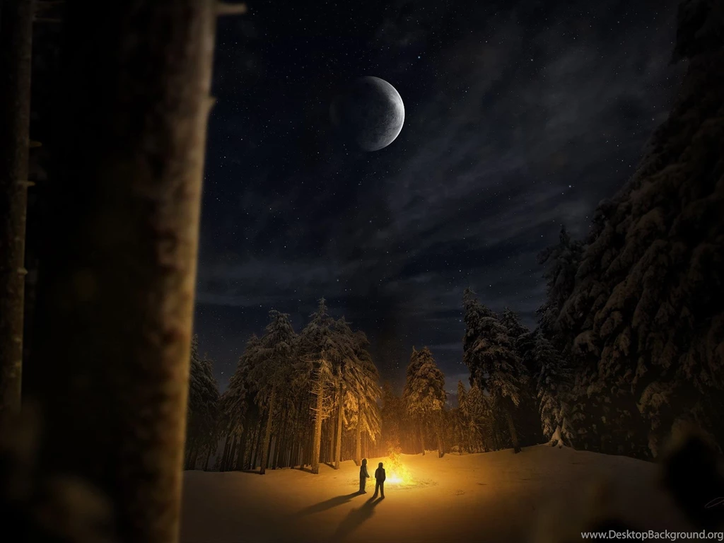 1600x1200 Bonfire, Trees, Two, People, Night, Forest, Snow, Winter ...