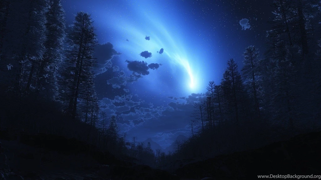 Night Forest Fog Sky Wallpapers