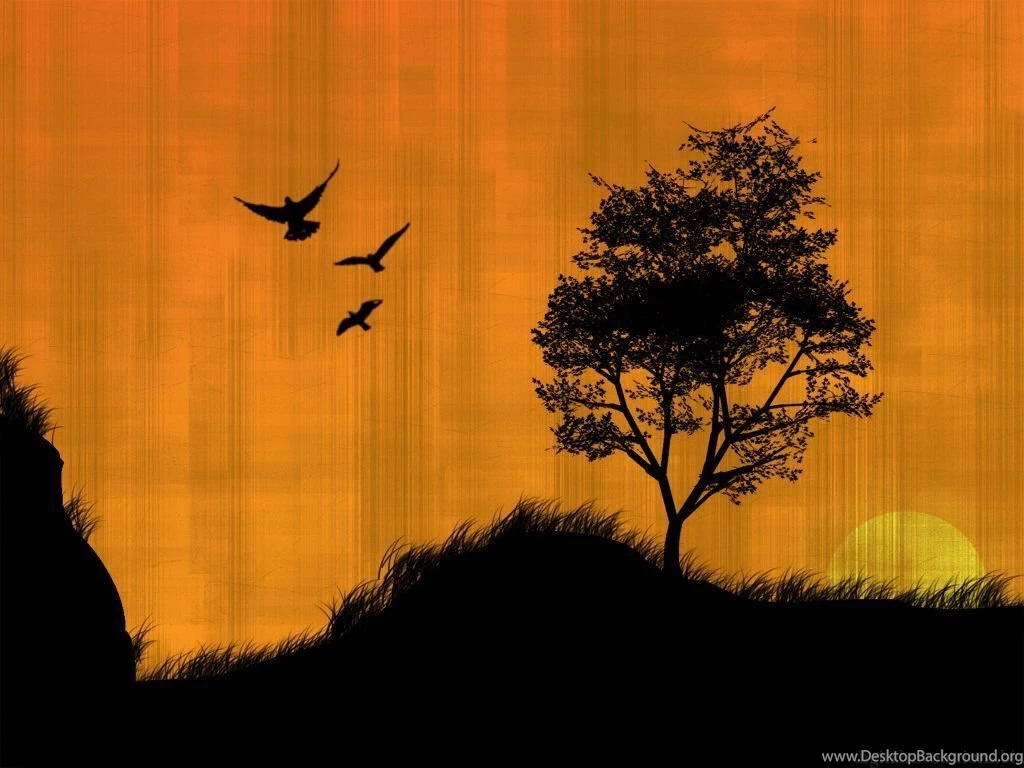Sunset Wallpapers