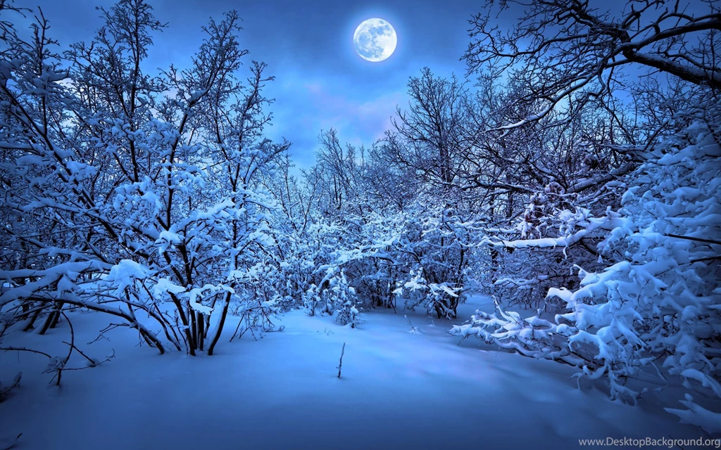 3565) Christmas Snow Widescreen Backgrounds Wallpapers Attachment ...