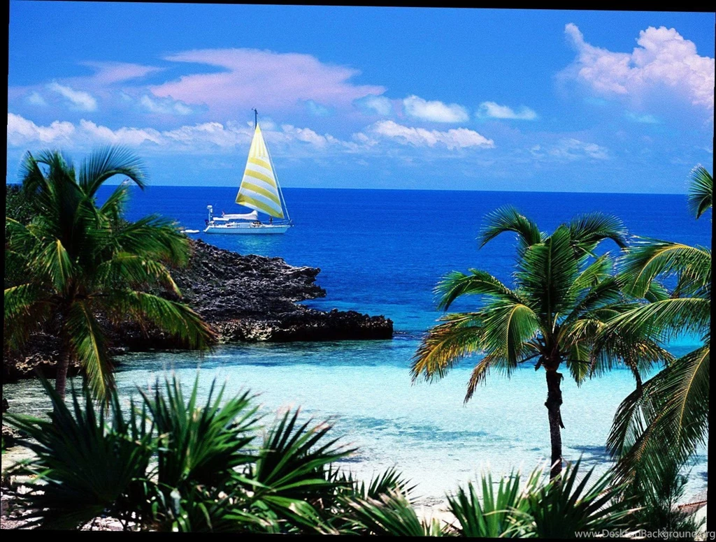 Wallpapers Computer Backgrounds Free 5 Items