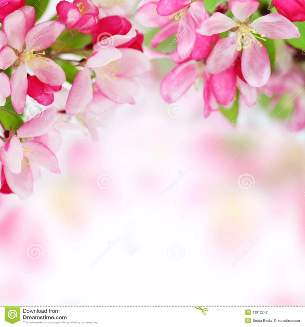 Roses Flowers Wallpapers Windows 7 Desktop Wallpapers Flowers ...
