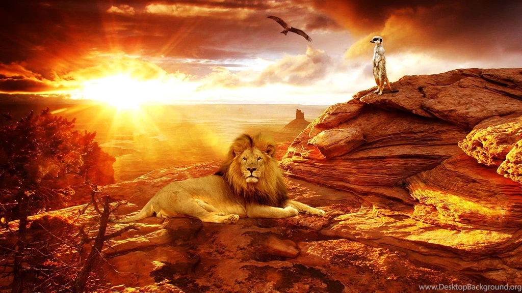 48 HD Africa Wallpapers For Desktop And Mobile