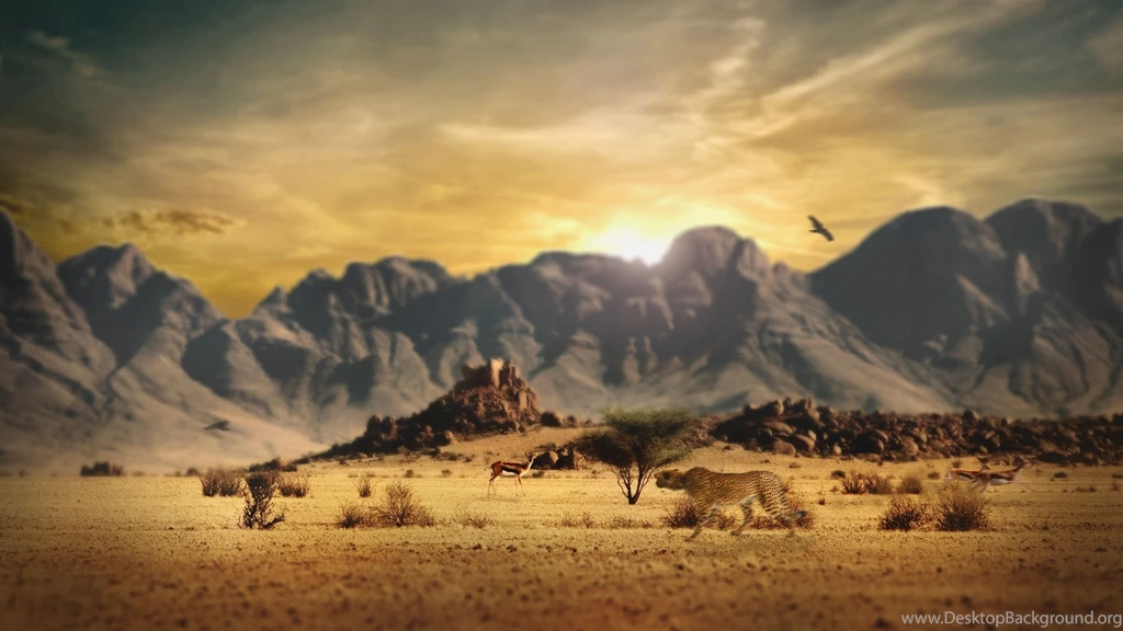 Africa Desktop Wallpapers