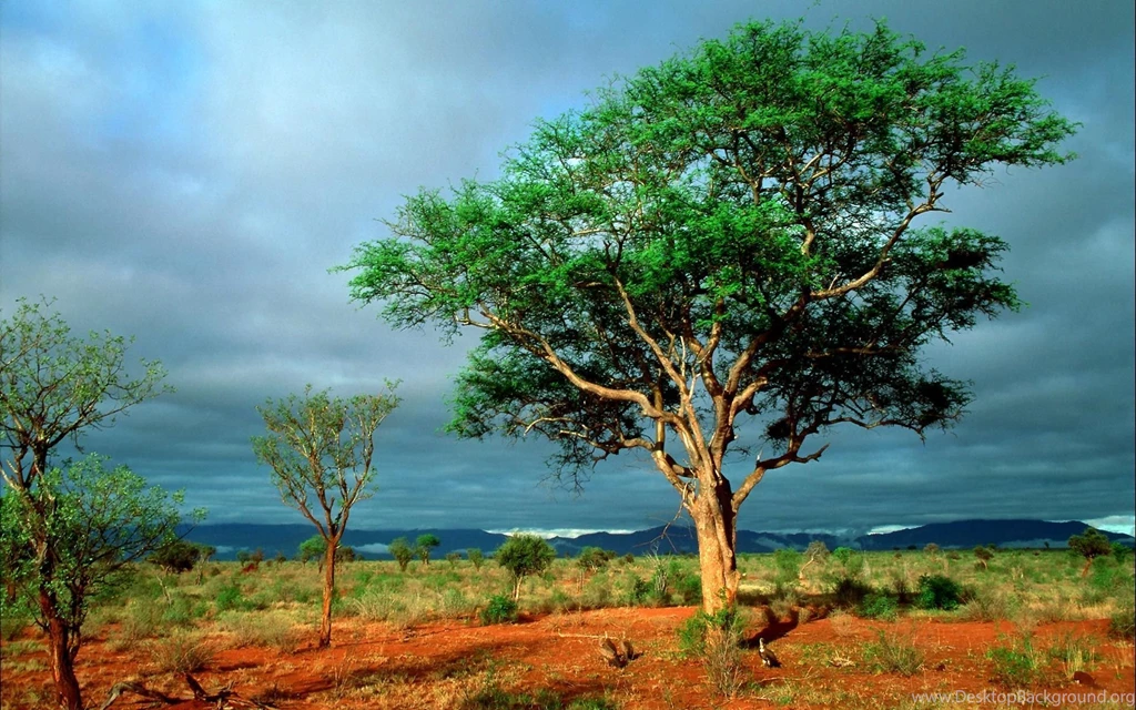 African Landscape Wallpapers 3348