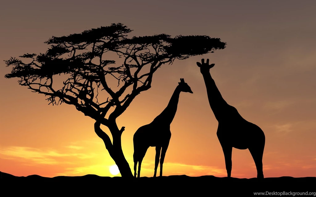 Awesome_african_sunset_wallpaper.jpg