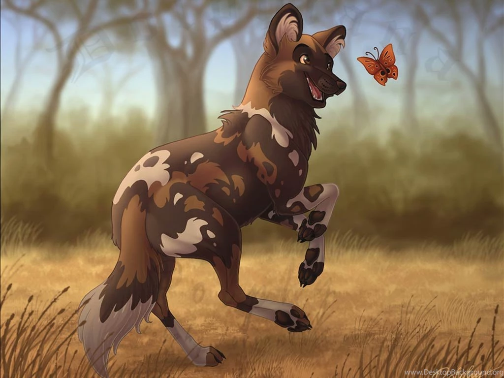 African Wild Dog Wallpapers   HD Wallpaper Backgrounds Of Your Choice