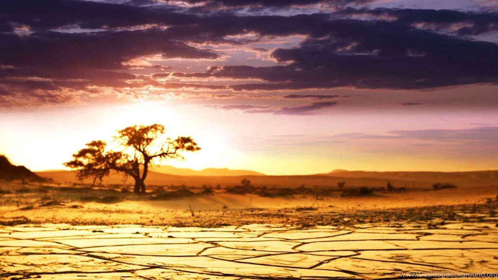 1920x1080 African Landscape, The Sky, Savannah, Horizon, Sunrise ...