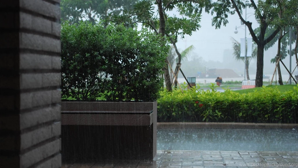 Rain wallpapers summer 2013 13.jpg