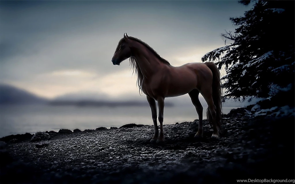 Horse background.jpg