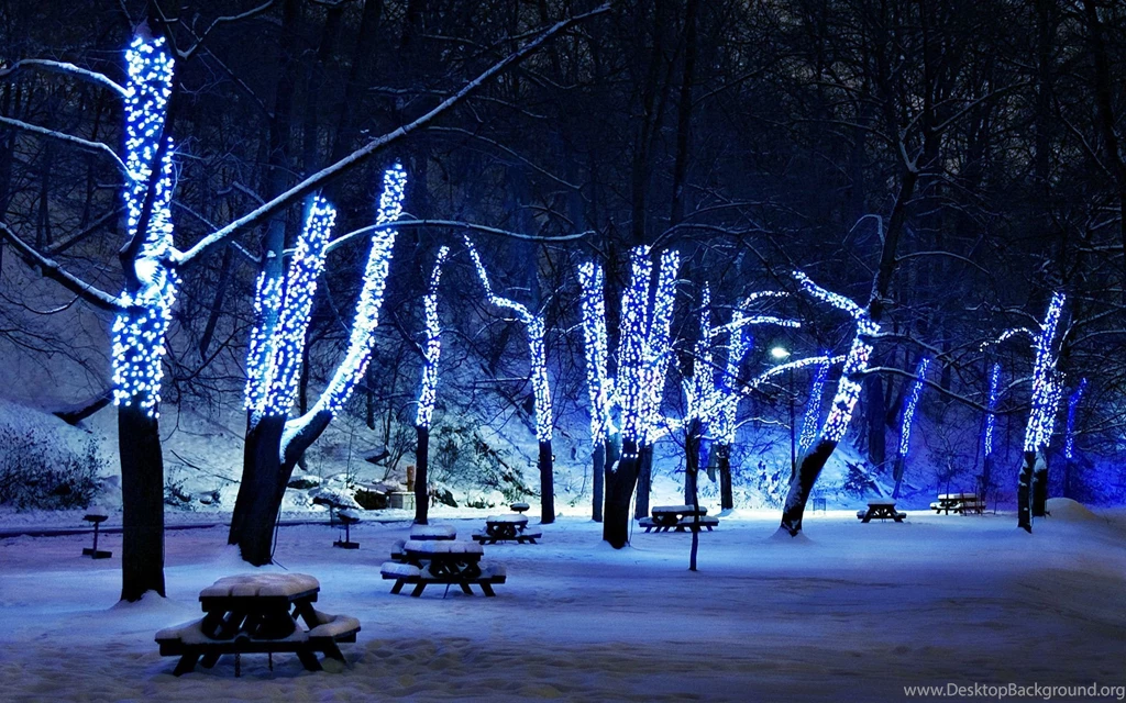 Winter Wallpapers HD