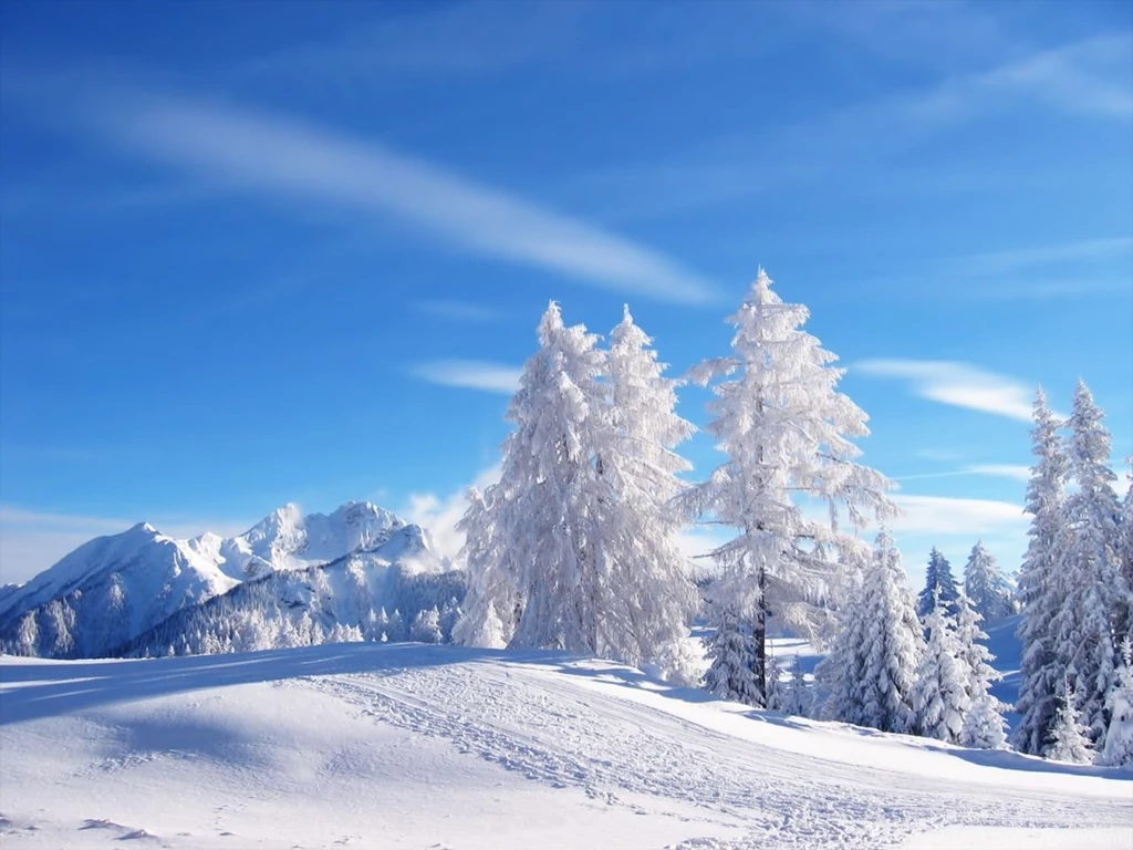 Winter Nature Wallpapers Hd Tag