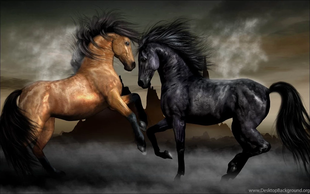 Black And Brown Horse Fighting HD Wallpapers For Desktop 1080p ...