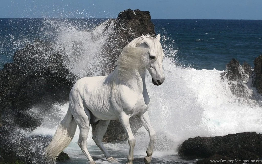 White_horse_waves_wallpaper_ _1280x800.jpg