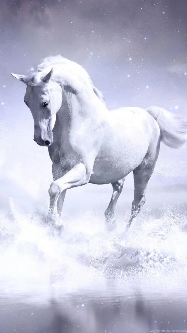 White Horse Mobile Wallpapers   Mobiles Wall