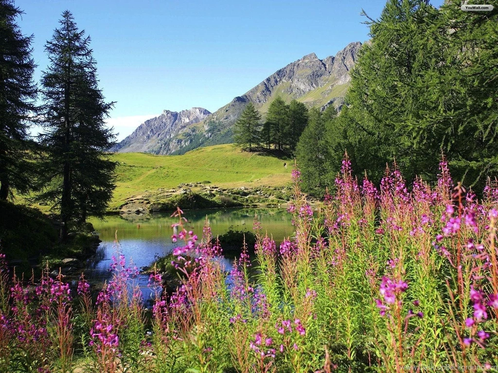 Springtime Desktop Wallpapers Free