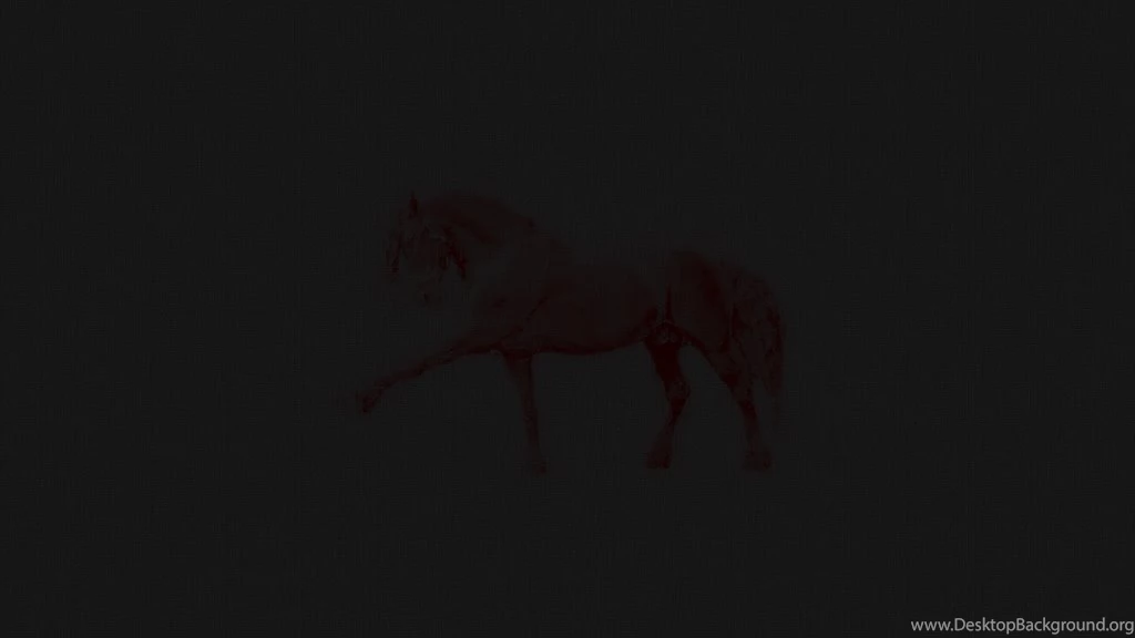 Black Horse Wallpapers By Troikas On DeviantArt