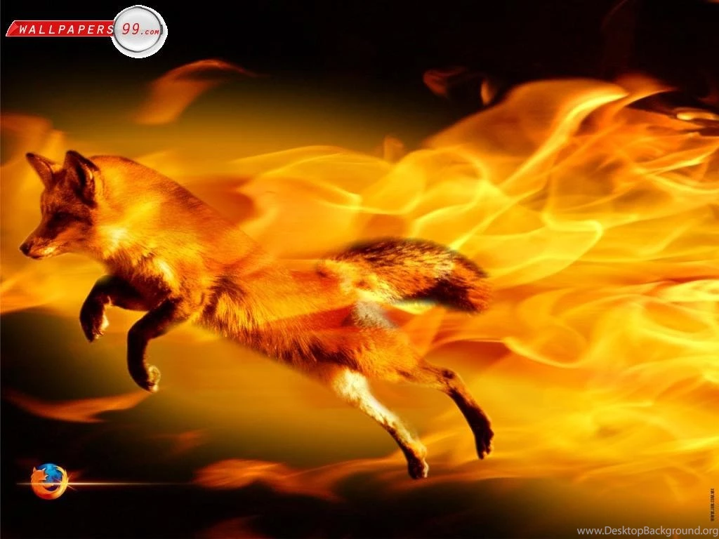 Firefox Desktop Wallpapers Picture Image 1024x768 11342