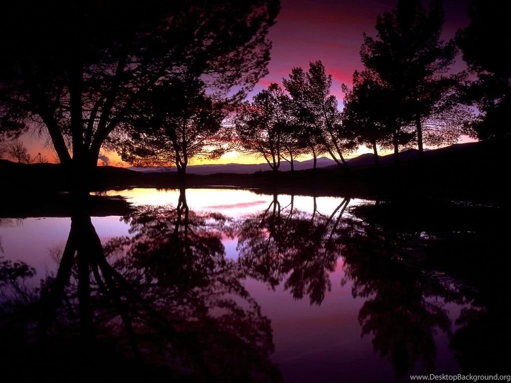 Purple Nature Wallpapers 20370