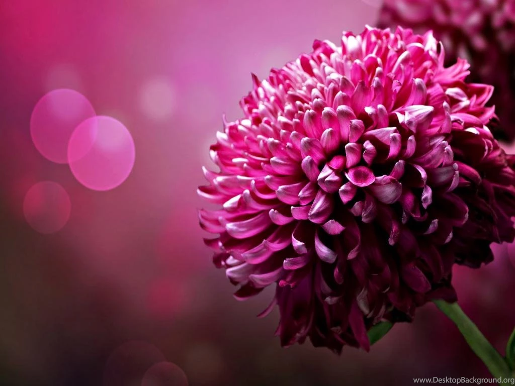 1024×768 Wallpapers