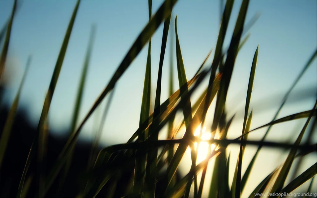 2560 X 1600 Wallpapers Page 31