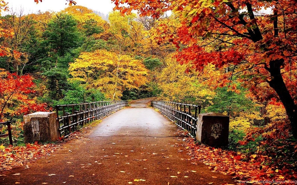 Autumn Bridge Free Wallpaper Backgrounds For Co