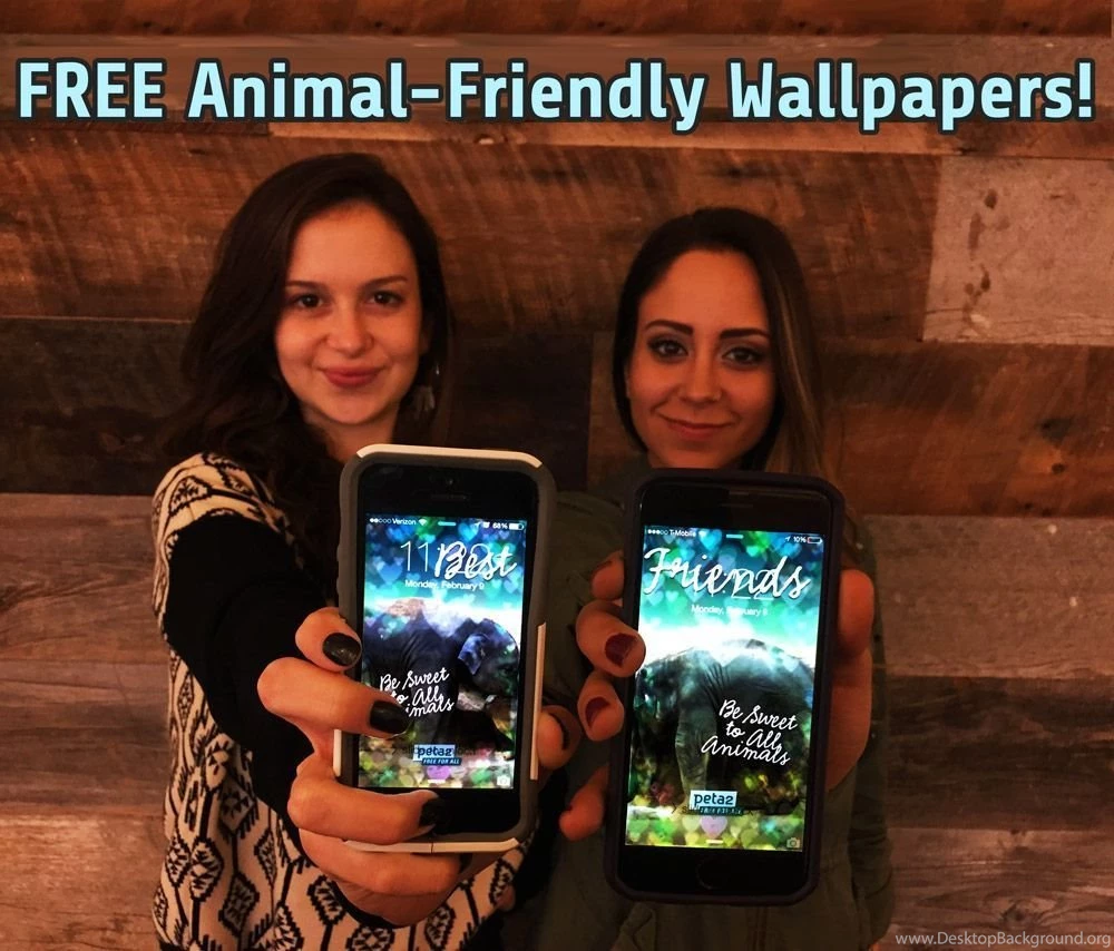 FREE Valentine's Day Phone Backgrounds