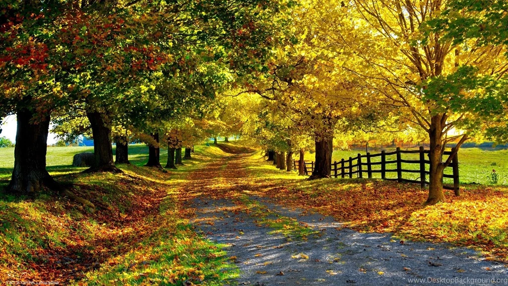 Nature hd images.jpg