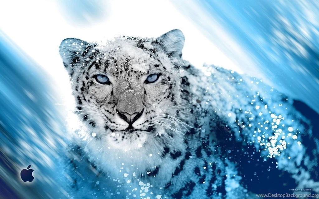Snow Leopard Backgrounds