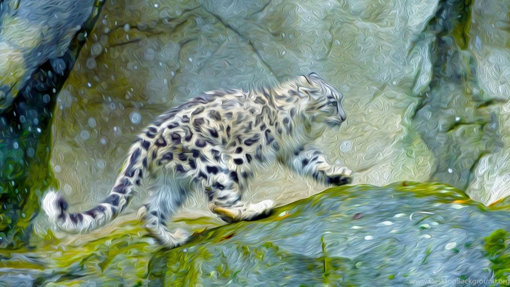 Snow Leopard Wallpapers 1920x1080 ID: 16922