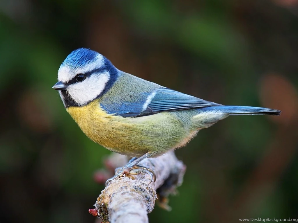 Dianne Sutherland: It Starts With....Nothing!