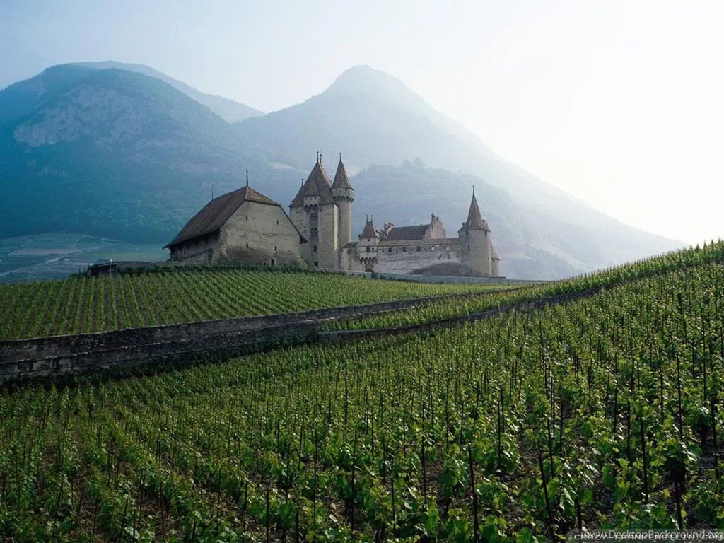 Awesome Wallpapers   Crazy Frankenstein