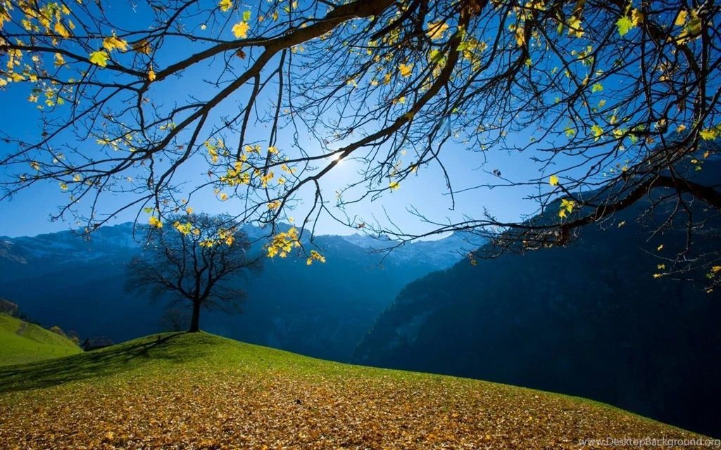 Awesome Nature Wallpapers