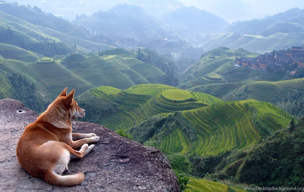 Awesome Nature Wallpapers