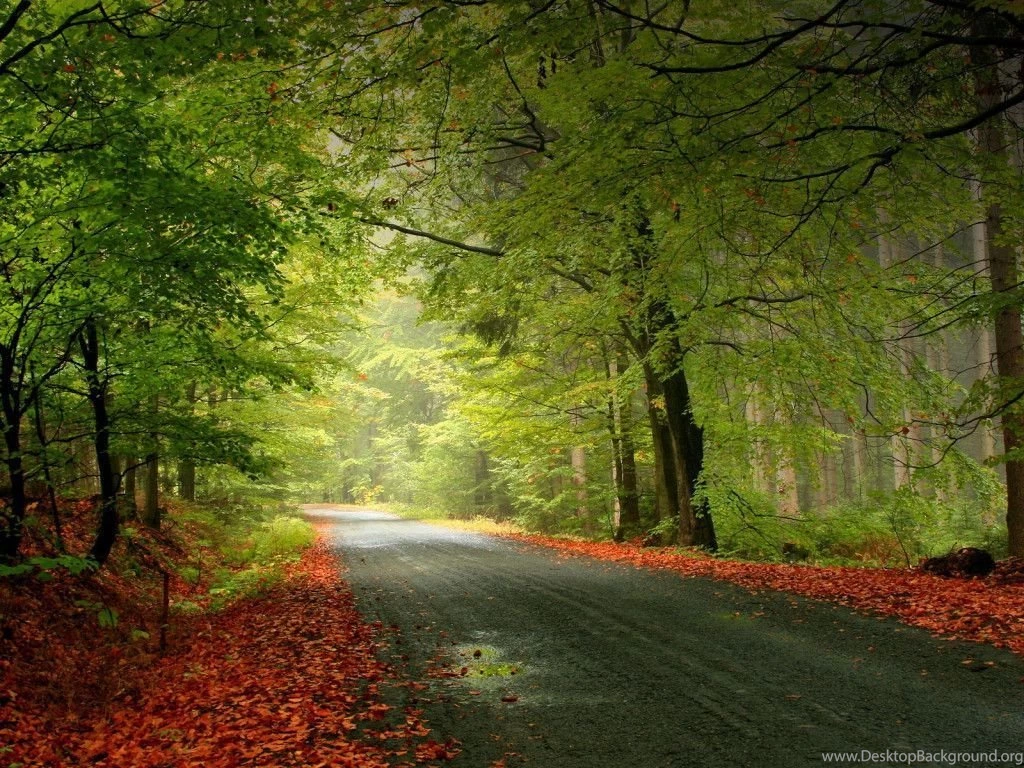 Awesome natural wallpapers 1600×1200 1024×768 – Ruff Ideas